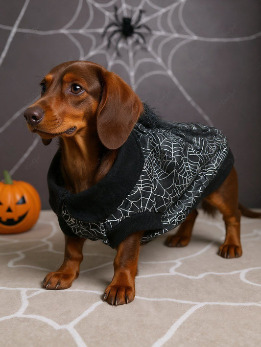 Pet's Silver Stamping Spider Web Print Turn-down Collar Halloween Button Contrast Piping Sweatshirt