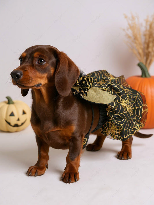 Pet's Halloween Costume Spider Web Print Skirt Set