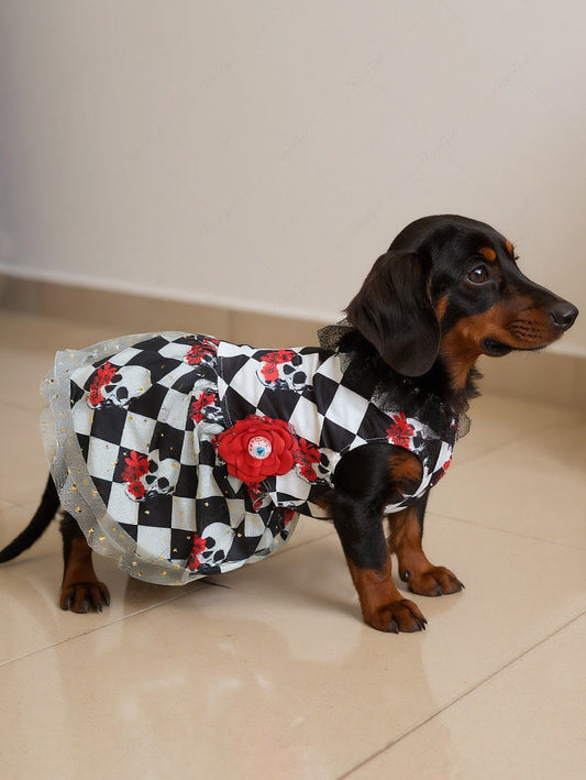 Pet's Halloween Skulls Flowers Checkered Plaid Print Fishnet Lace Trim Dress