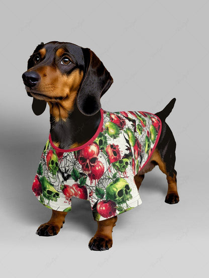 Halloween Apples Skulls Spider Web Bat Print T-shirt and Dress Dog and Owner Matching Outfits