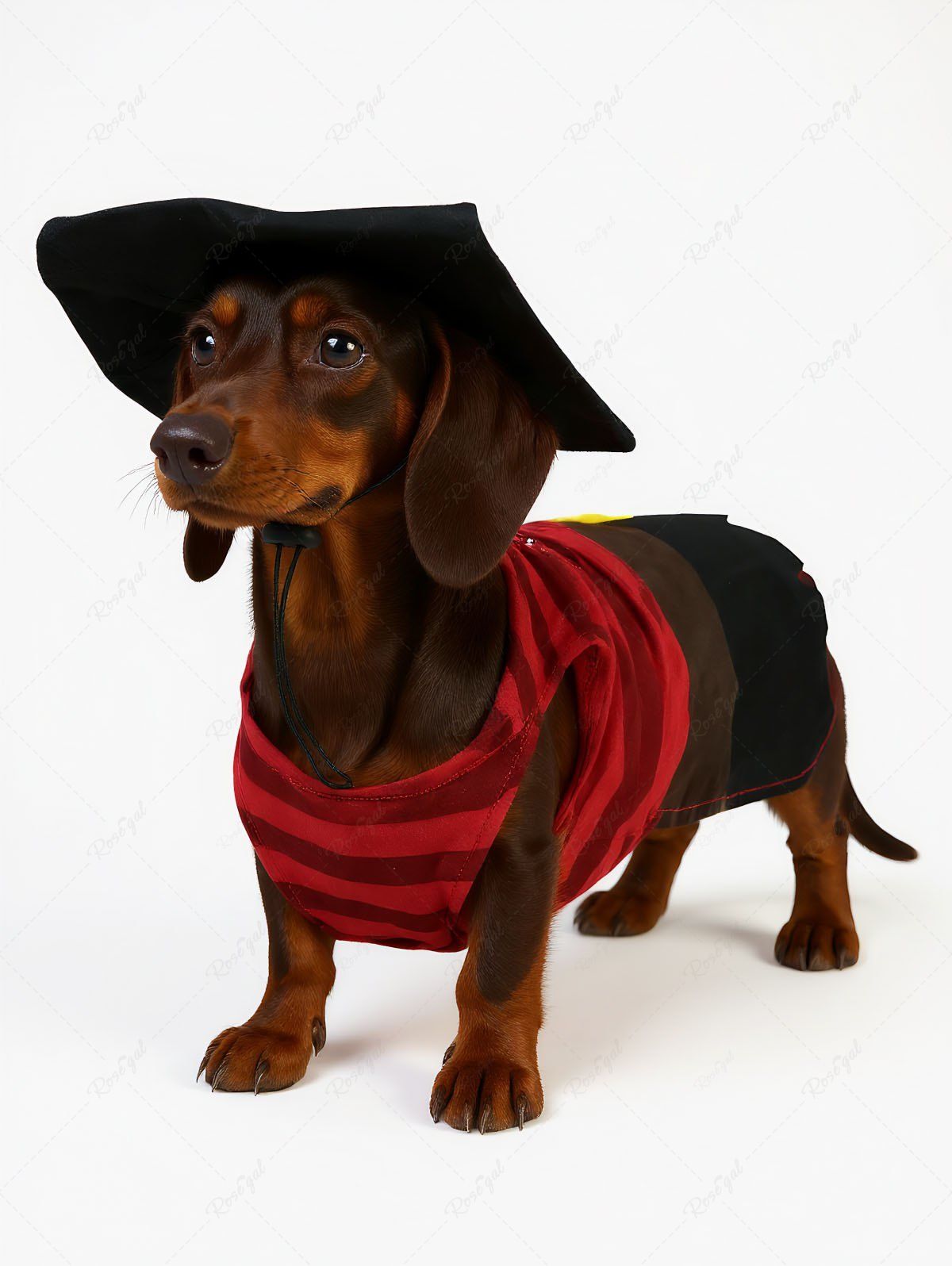 Pet's Skull Stripes Print Halloween Costume Tank Top With Hat