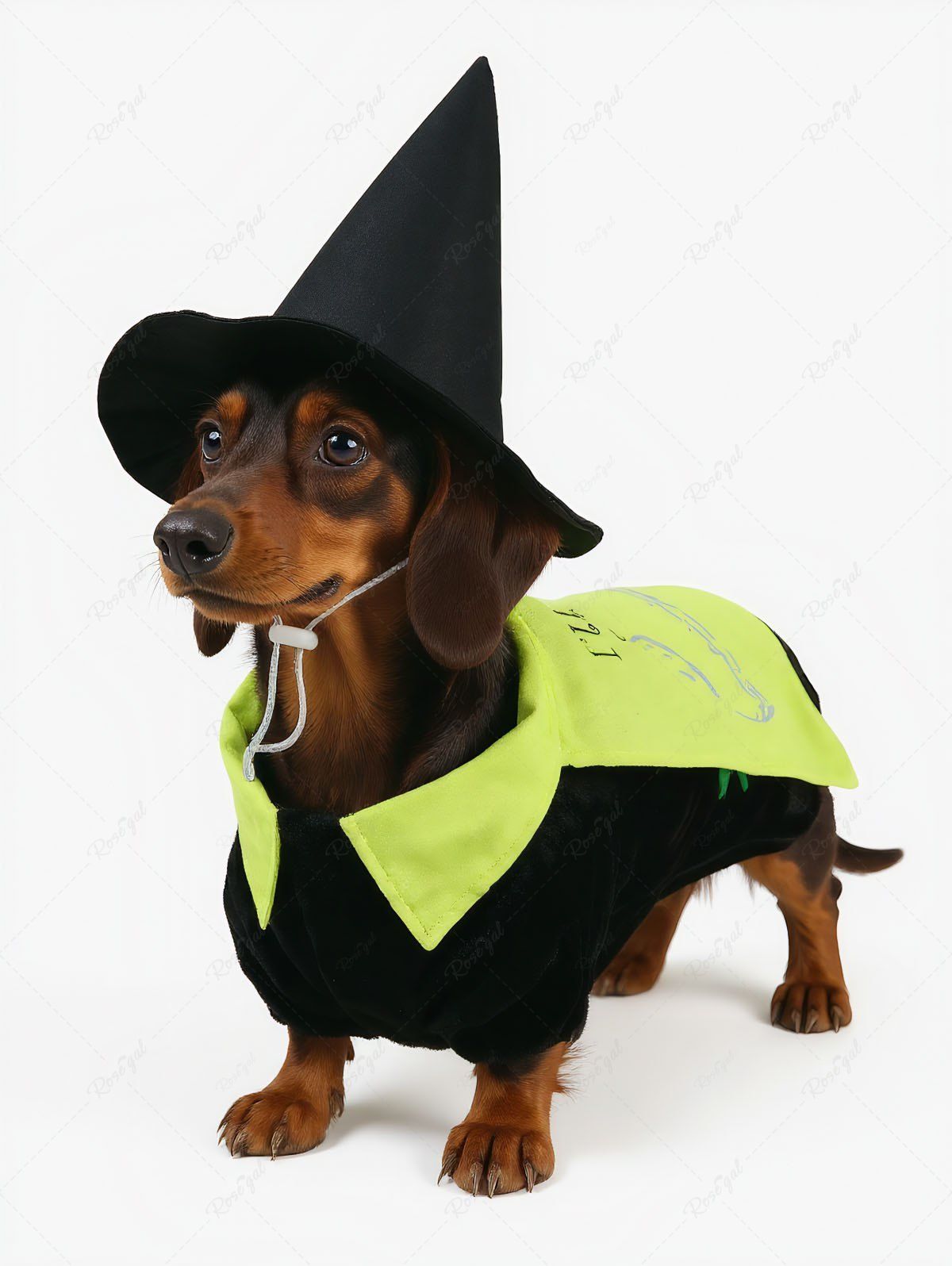 Pet's Letters Birds Print Costume Coat With Hat