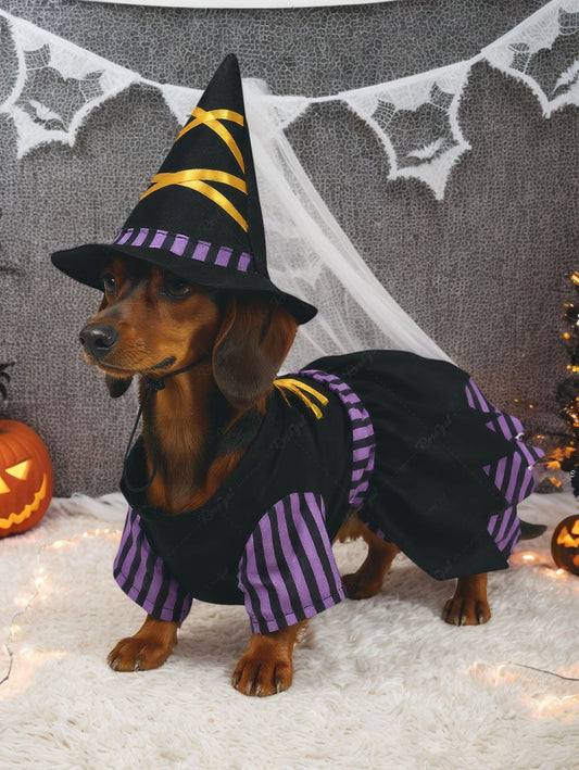 Pet's Stripes Print Costume Dress With Crisscross Deco Hat