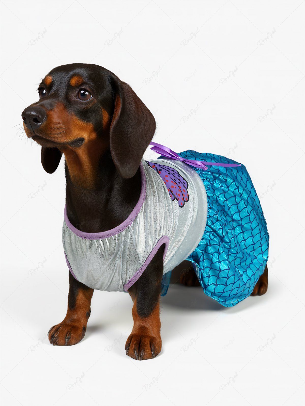 Pet's Shell Mermaid Print Bowknot Costume Dress