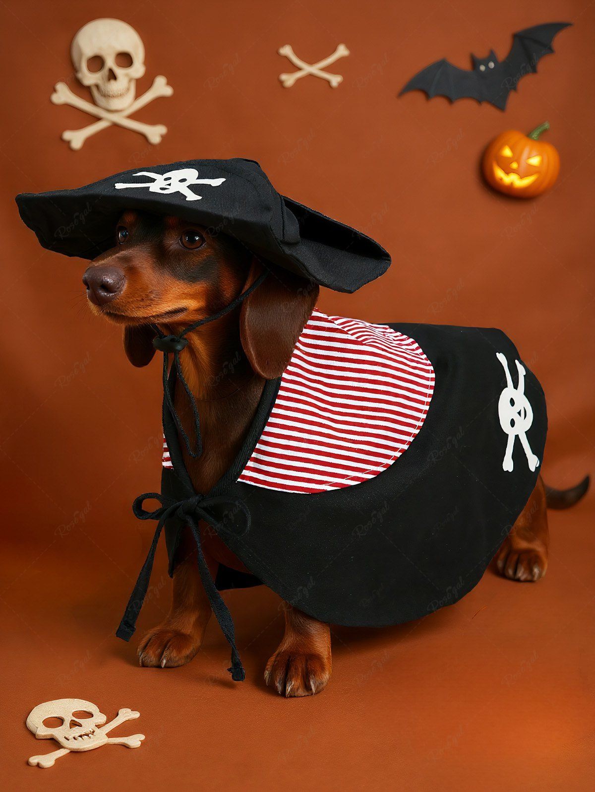 Pet's Halloween Pirate Costume Skull Stripes Print Cape Cloak With Hat